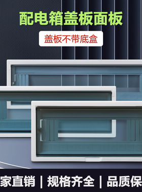 PZ30强电箱盖板配电箱塑料面板盖灰色平面面盖回路箱面罩透明盖子
