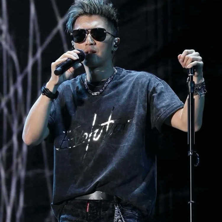 2025进化谢霆锋香港演唱会同款衣服门票应援服t恤衣服短袖男女款