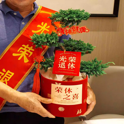 五层塔松盆景青松自在盆栽绿植光荣退休礼物男士仪式感布置纪念品