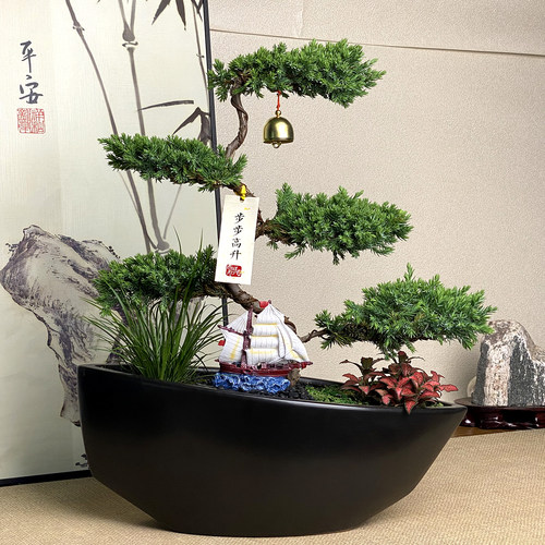 独特帆船造型盆景.步步高升盆栽