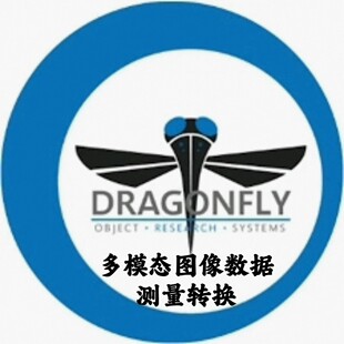 ORS Dragonfly 3D World 2025.1 中文多模态图像数据多维转换测量