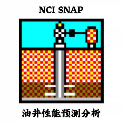 NCI SNAP v3.002 油井性能预测分析安装咨询指导服务