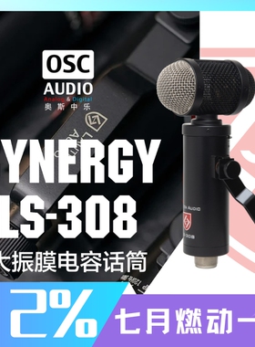 Lauten Audio LS-308 大振膜电容话筒