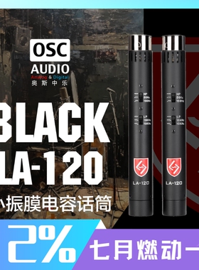 Lauten Audio LA120 V2小振膜立体声电容话筒 乐器话筒