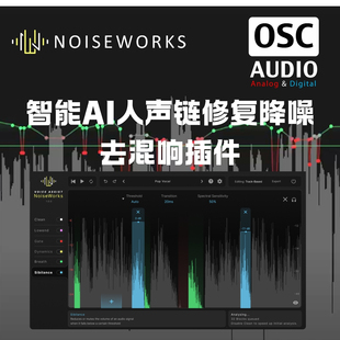 正版NoiseWorks VoiceAssist 智能AI人声链修复降噪去混响插件