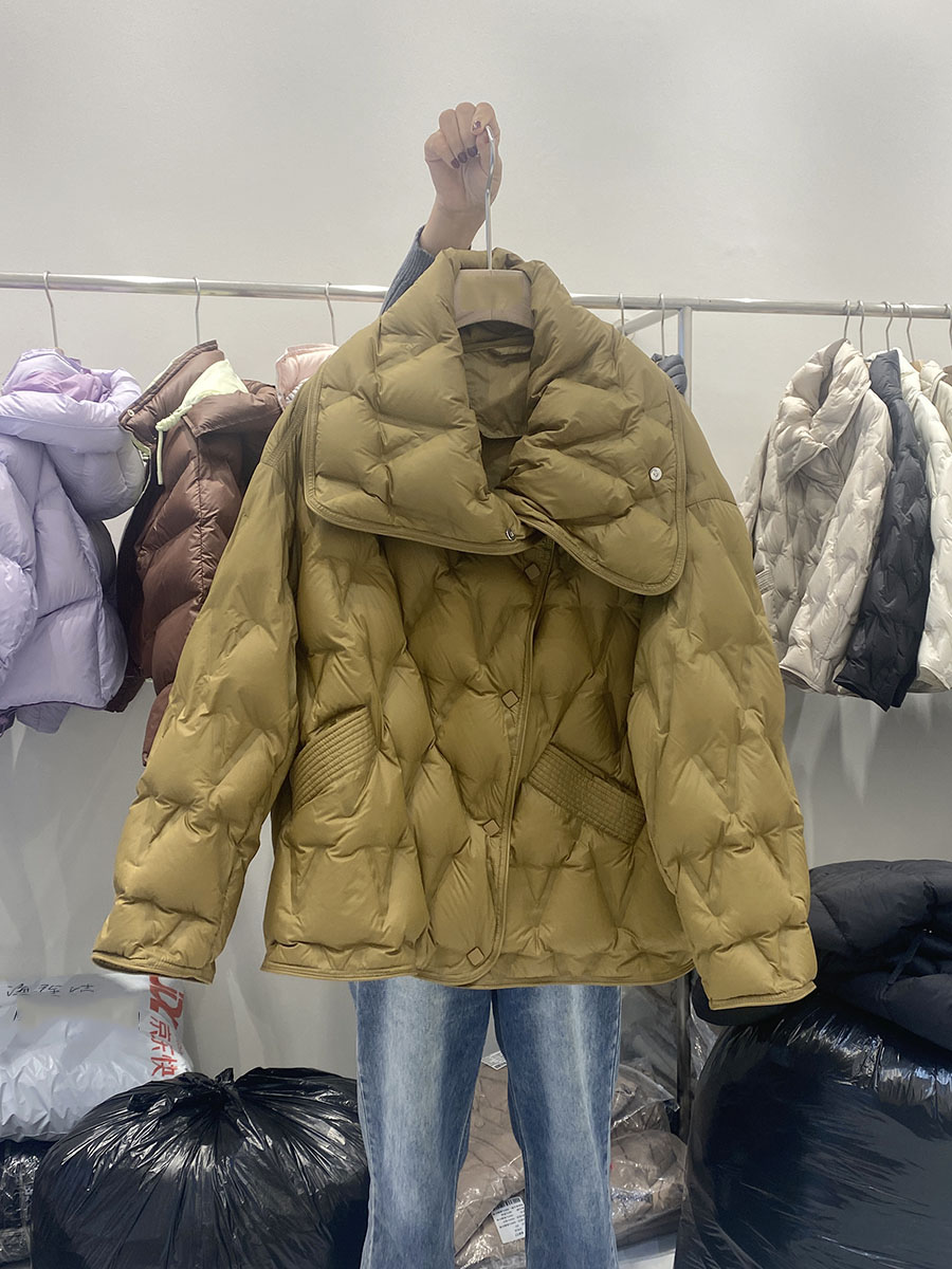 24秋冬装韩版宽松显瘦轻薄短款羽绒服外套90%白鸭绒保暖轻便上衣
