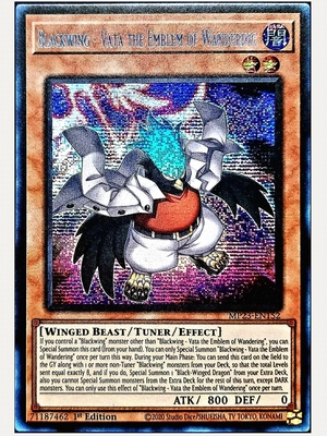 KONAMI闪卡VatatheEmblem潮玩