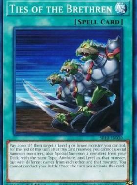 游戏王 美英一刷 SR10-EN030 N 同胞的牵绊 A7B