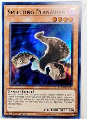 游戏王 美英一刷ROTA-EN100 SR 分裂的涡虫 H3B