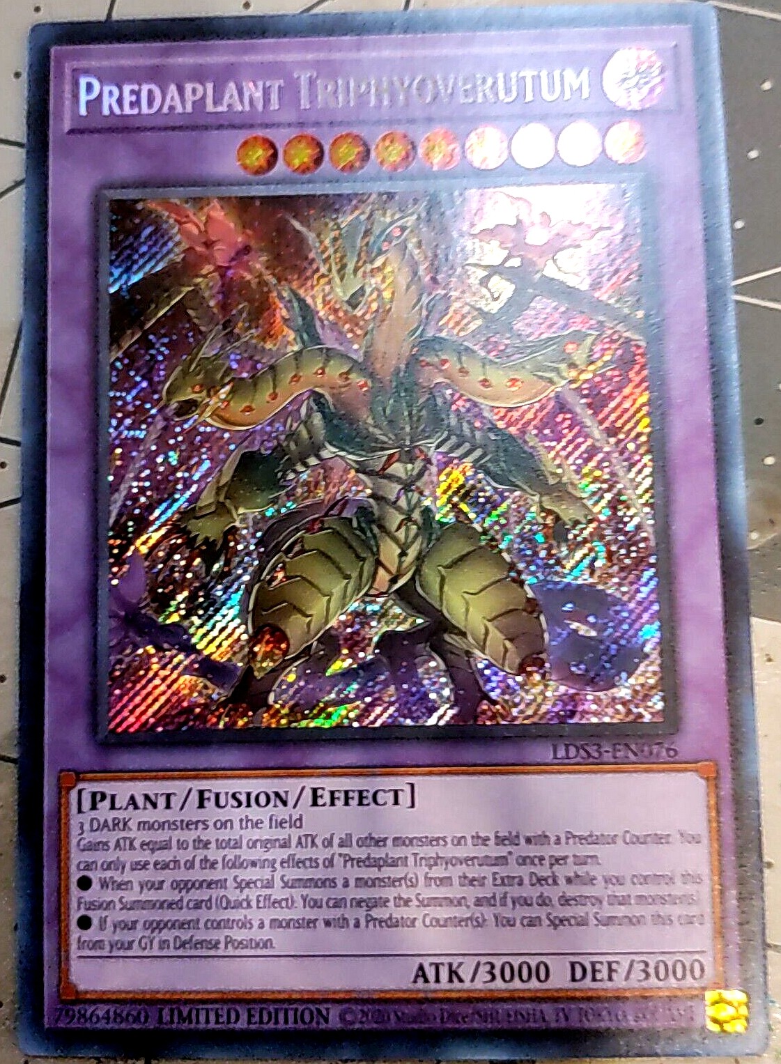 游戏王植物族KONAMI暗属性