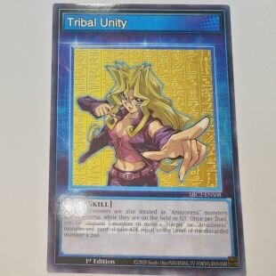 游戏王美英一刷SBC2-ENS08 N 孔雀舞 token 技能卡 衍生物  Rp