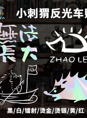 赵雷小刺猬无法长大巡回周边反光车贴电动摩托车身后窗玻璃装饰贴