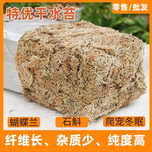 优质干水苔纯天然优质青苔兰花蝴蝶兰石斛盆景营养土爬宠乌龟垫材