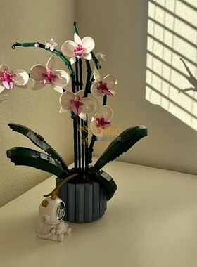 兰花蝴蝶兰花束绿色植物盆栽女孩情人节生日礼物拼装玩具中国积木