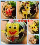 猫头鹰 龙猫 米妮 派大星 成品 米奇 皮卡丘 悟空 海绵宝宝 小鹿