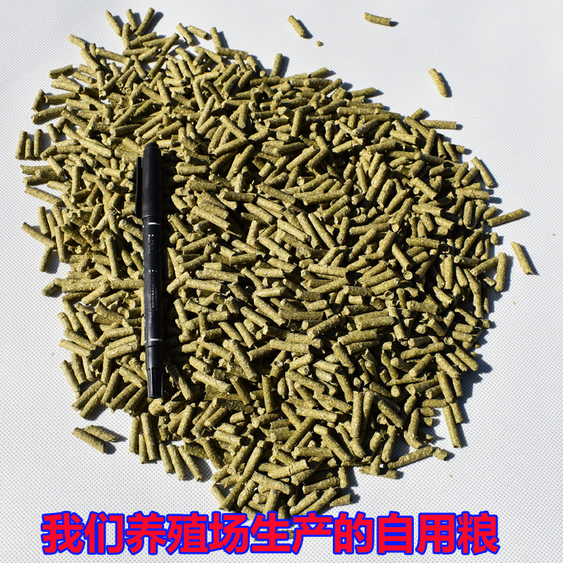 土拨鼠粮高纤维主粮黑尾土拨鼠粮