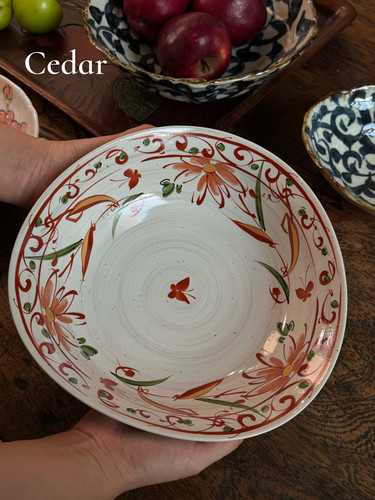 日本进口陶瓷餐盘水果钵汤菜盘复古多用钵深盘大盘日式餐具