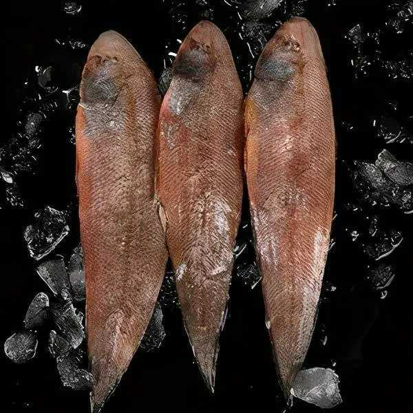 新鲜龙利鱼 粗鳞肉厚 味道鲜大中条货6斤