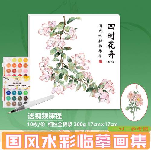 水彩涂色线稿 中国风手绘植物 全棉浆水彩纸填色临摹画册植物花卉