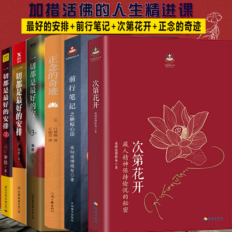 正版 次第花开 樊登 希阿荣博堪布 前行笔记之耕耘心田 一切都是最好的安排 一行禅师书籍 佛陀传 佛教初学者修养哲学 正念的奇迹