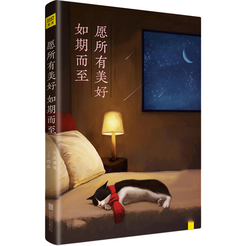 愿所有美好如期而至 深夜十点读书 青春成功励志文学书籍正能量信心