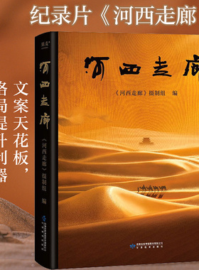 河西走廊书 精装 纪录片 书籍 河西走廊摄制组 CCTV纸上纪录片视频 丝绸之路彩图历史讲解旅游攻略指南敦煌壁画故事中国西部 绘本