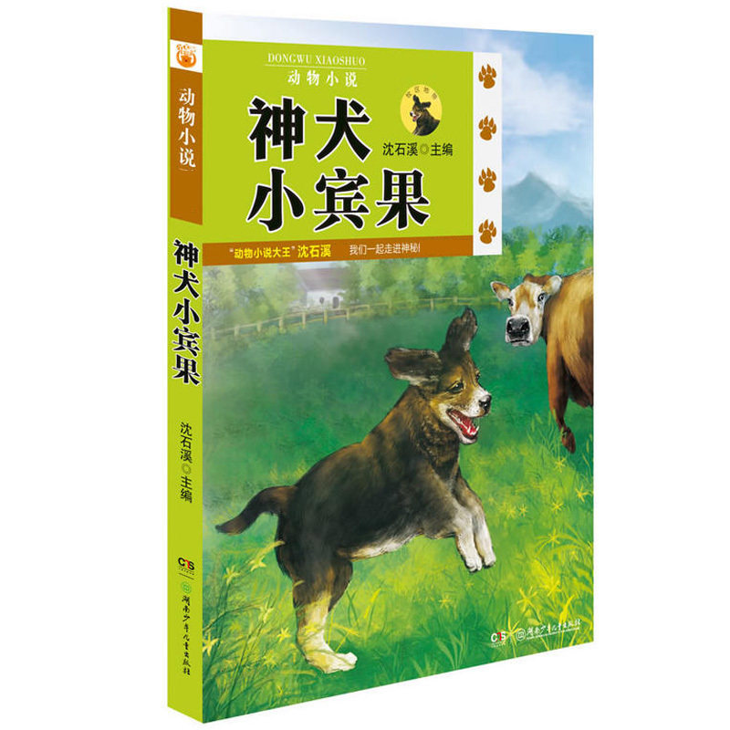 沈石溪动物小说神犬小宾果 绘画/漫画/连环画/卡通故事少儿 早教启蒙动物小说 儿童教辅教材读物 少儿图书 育儿孕期读物书籍
