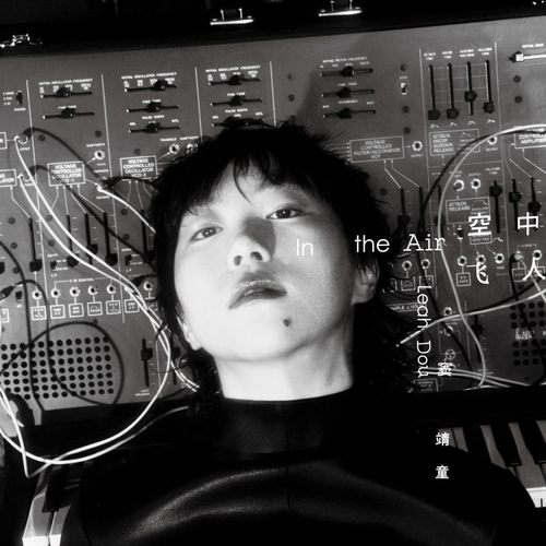 正版 窦靖童 第二张国语专辑 空中飞人 CD/LP 华语流行黑胶唱片