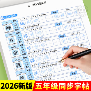 【2026新版】五年级下册练字帖人教版五下语文字帖课本同步练字帖 5年级下小学生专用钢笔生字帖下学期练字教材写字每日一练课课练