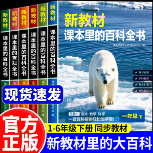 2026春下册】新教材里的大百科同步新教材小学1-6年级语文数学科学知识拓展孩子的第二课堂一二三四五六年级科普百科全书百科常识