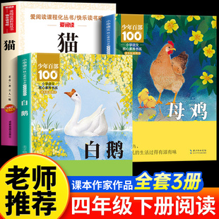 白鹅丰子恺 猫老舍全套2册 四年级下册必读的课外书正版书目老师推荐 小学生课外阅读书籍儿童文学全集散文集读本课文作家作品系列