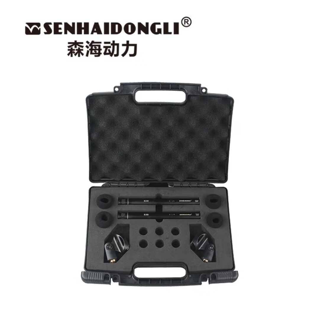SHDLI 森海动力 R-150舞台大合唱团电容话筒麦克风专业大型舞台麦