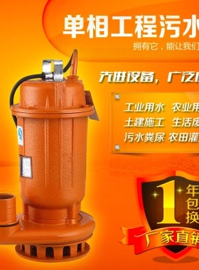 家用220V单相污水泵排污泵泥沙泵泥浆泵潜水泵家用抽化粪池抽水机