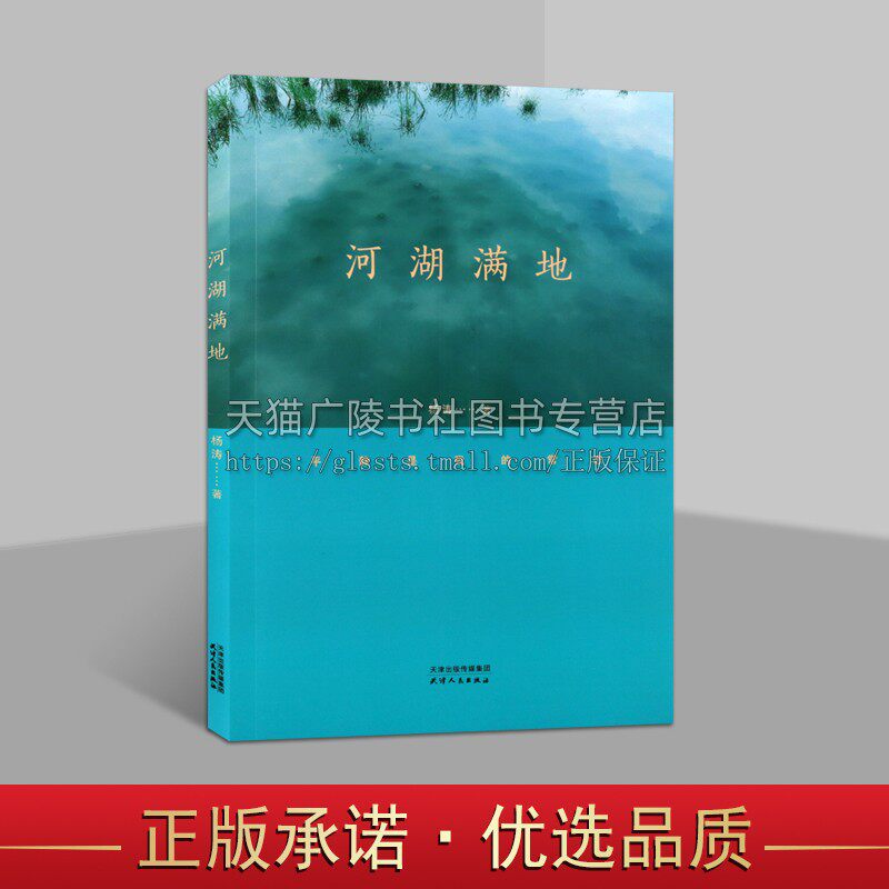 河湖满地 平静时我的常态 杨涛著 现代诗歌集 作者个人成长心路历程及