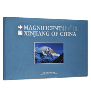 中国 壮美新疆（8开摄影画册）画册编辑委员会著 地方史志生态旅游自然风景介绍艺术理论鉴赏收藏经典著作书籍 新疆美术摄影出版社