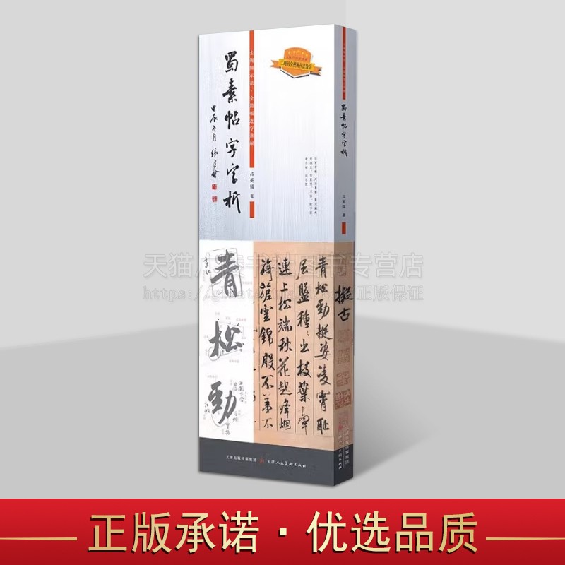 蜀素帖字字析638个视频讲解吕英儒著全视频示范全篇逐字讲解米芾行书毛笔书法字帖成人学生临摹教程 天津人民美术出版社