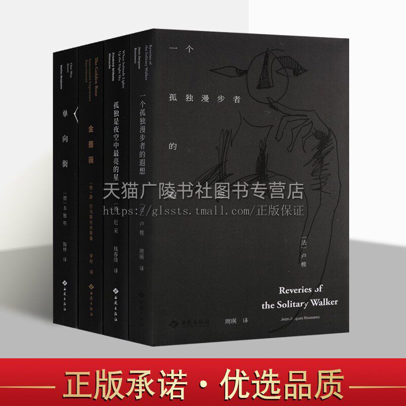 时光.经典陪伴系列(套装4册)一个孤独漫步者的遐想 单向街 孤独是夜空中亮的星 金蔷薇 文学散文书籍 近代散文集 法国近代散文集