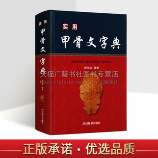 实用甲骨文字典 甲骨文小字典 陈年福 精装版 甲骨文常用字字典 殷墟甲骨文构形及其形义关系的实用型字典 四川辞书出版社