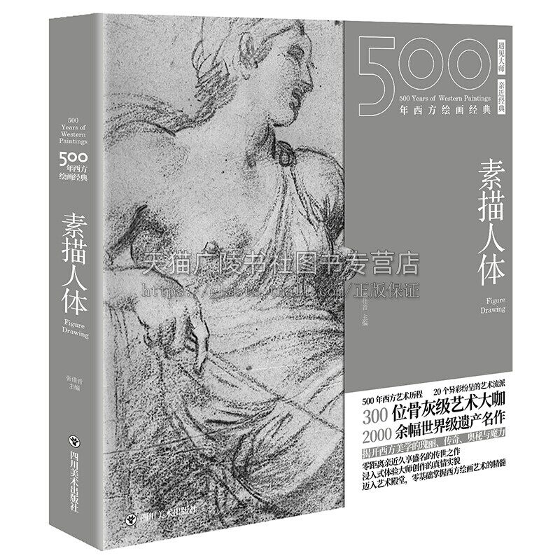 500年西方绘画经典 素描人体西方绘画艺术的纸上美术馆 张佳音著西方绘画典藏素描书水彩临摹彩铅画教程典藏画册 四川美术出版社