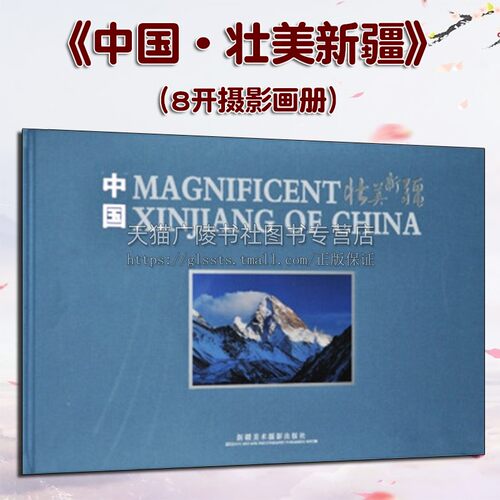 中国 壮美新疆（8开摄影画册）画册编辑委员会著 地方史志生态旅游自然风景介绍艺术理论鉴赏收藏经典著作书籍 新疆美术摄影出版社