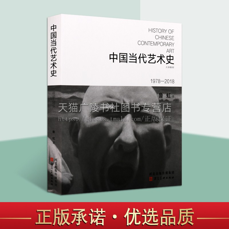 中国当代艺术史鲁虹新世纪