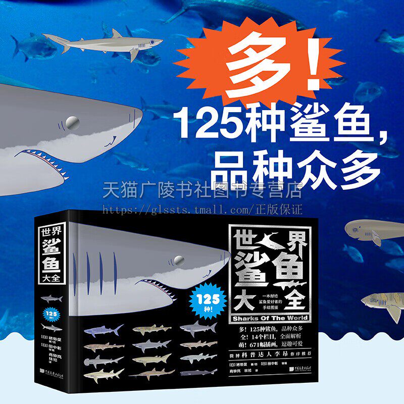 世界鲨鱼大全 世界鲨鱼图鉴 鲨鱼爱好者手绘图鉴阅读书籍 鲨鱼分析图 海洋鲨鱼知识宝库 儿童科普知识书籍 中国画报出