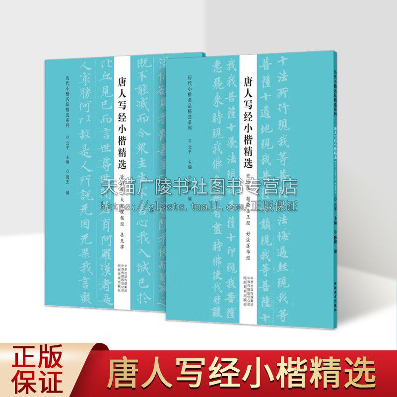 唐人写经小楷精选(全2册)(兜沙经转轮圣王经妙法莲华经)/历代小楷名品精选系列 书法篆刻正版书籍 河南美术出版社