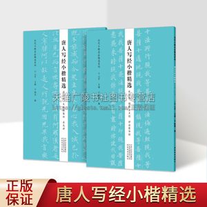 唐人写经小楷精选（全2册）(兜沙经转轮圣王经妙法莲华经)/历代小楷名品精选系列 书法篆刻正版书籍 河南美术出版社