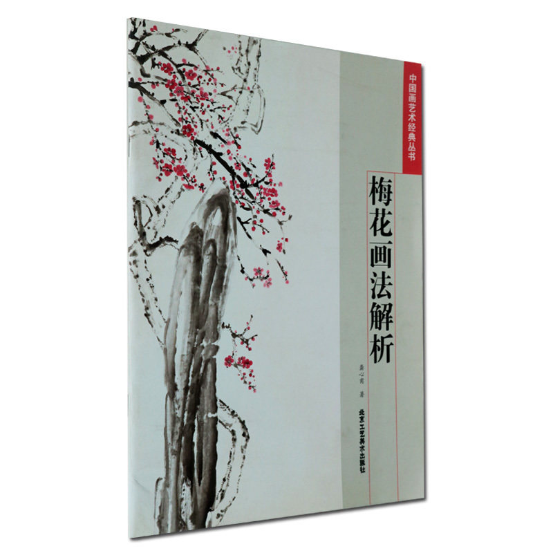 国画梅花基础入门教程手绘画册 美术绘画花鸟鱼虫画技法入门书籍