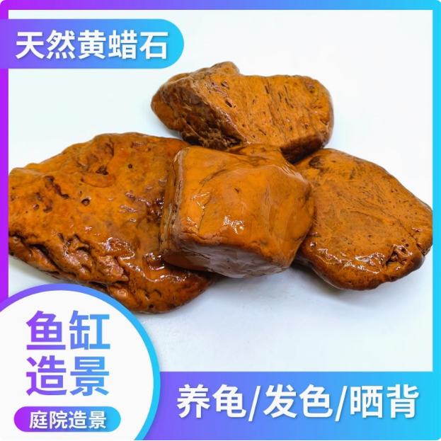 木纹乌龟晒台黄腊石垫脚石龟苗发造景/装饰