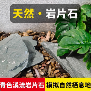 天然绿色片岩薄片溪流缸造景片石青龙石乌龟晒背台爬宠假山晒台