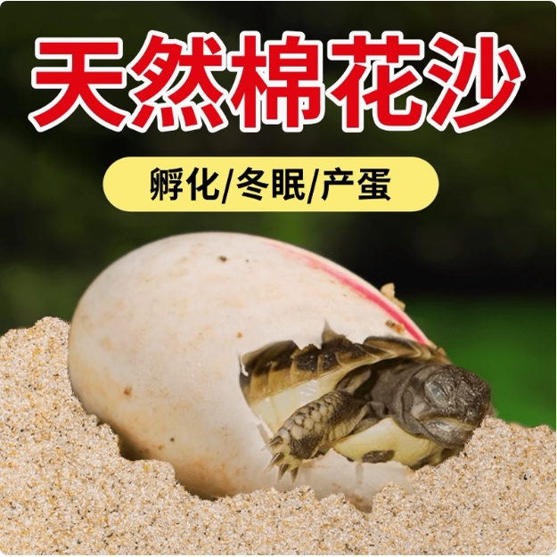 纯天然河沙细沙多肉种植生姜保存造景/装饰