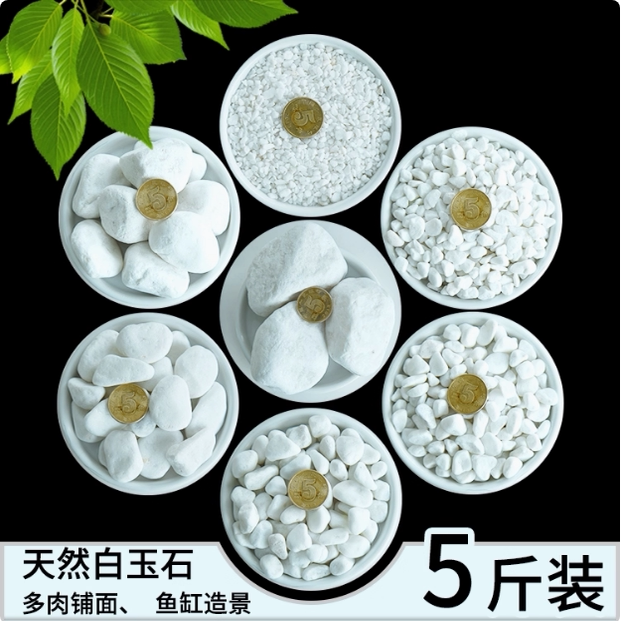 天然白石子小白玉石五彩石鹅卵石雨花石多肉石头铺面水培鱼缸铺院