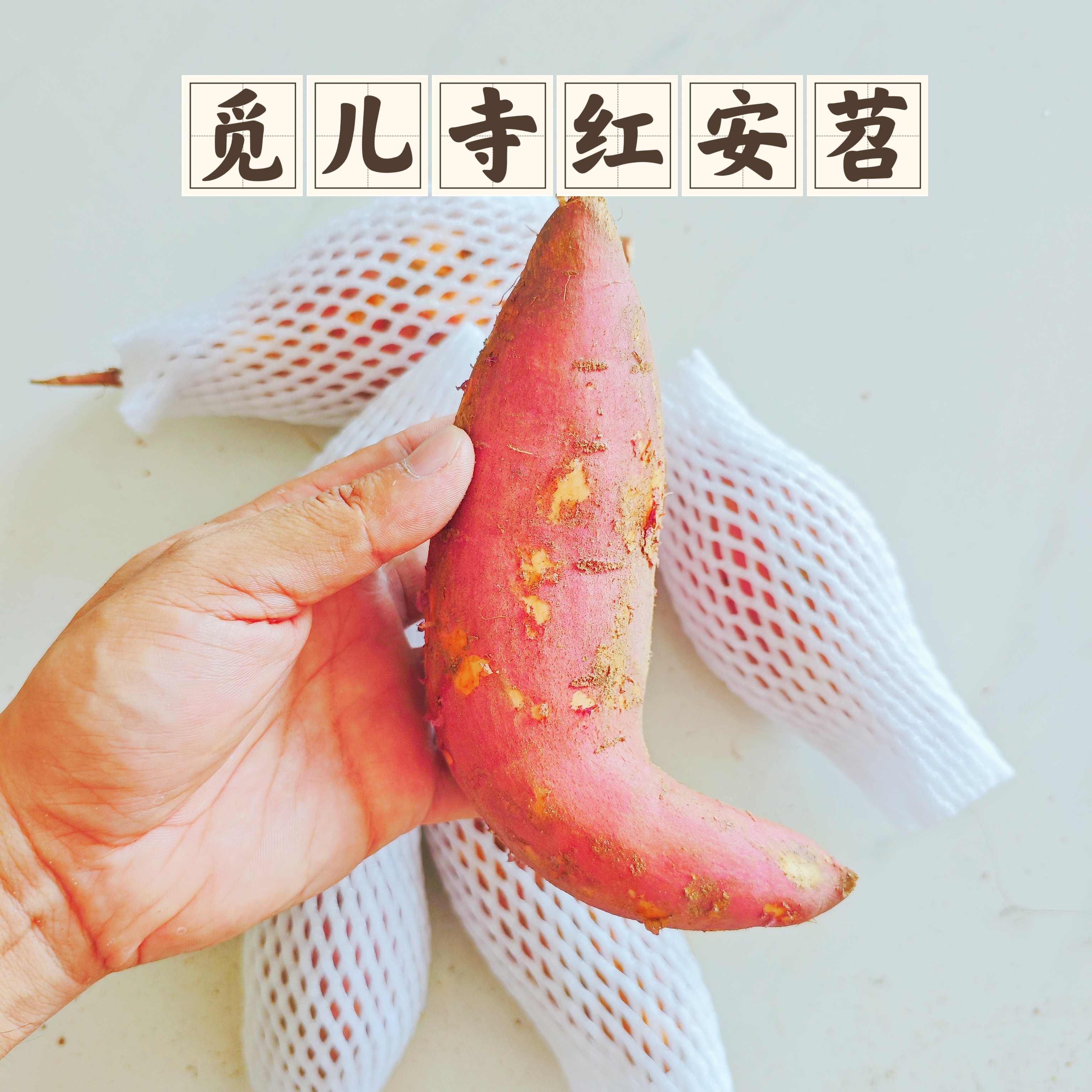 红安苕湖北特产红薯红皮红心苕新鲜现挖番薯沙地蜜薯5斤装20斤装